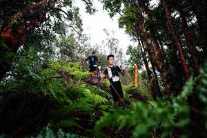 BIB: 
                            <button type="button" onclick="openModal(26204537)" class="btn btn-primary btn-sm float-right btn-popup" data-toggle="modal" data-target=".modal-high-quality">
                        <i class="fas fa-shopping-cart"></i> Add to Cart
                    </button>
                                            <button type="button" onclick="isThisMe(26204537, true)" class="btn btn-success btn-sm float-right btn-popup btn-isme hidden" data-toggle="tooltip" data-placement="bottom" title="นี่คือรูปของคุณใช่ไหม คลิกที่นี่เพื่อเอาเข้าอัลบั้ม">
                        <i class="fas fa-plus"></i> Add to album
                    </button>
                    <button type="button" onclick="isThisMe(26204537, false)" class="btn btn-warning btn-sm float-right btn-popup btn-isnotme hidden">
                        <i class="fas fa-ban"></i> Remove from album
                    </button>